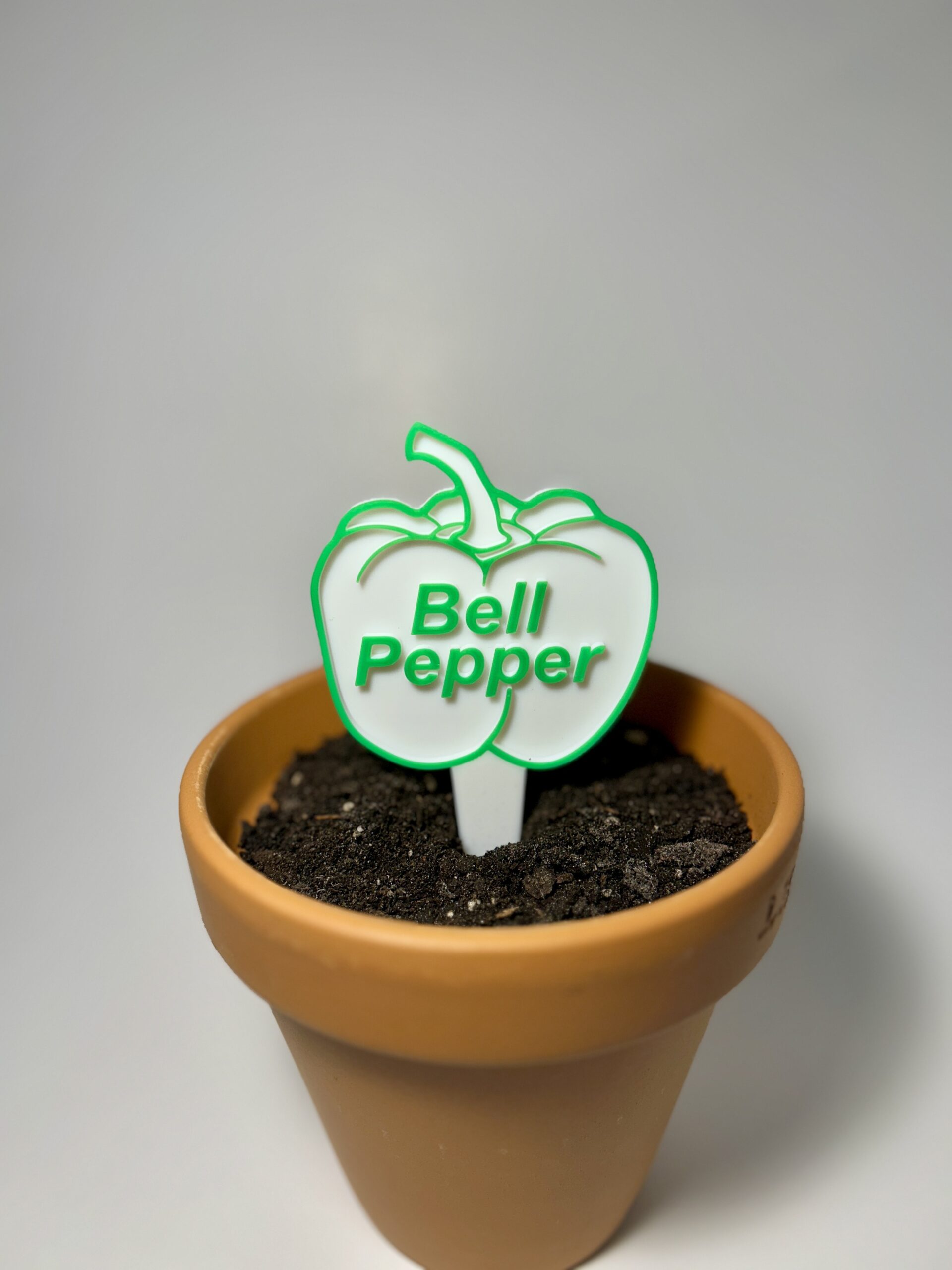 bell pepper